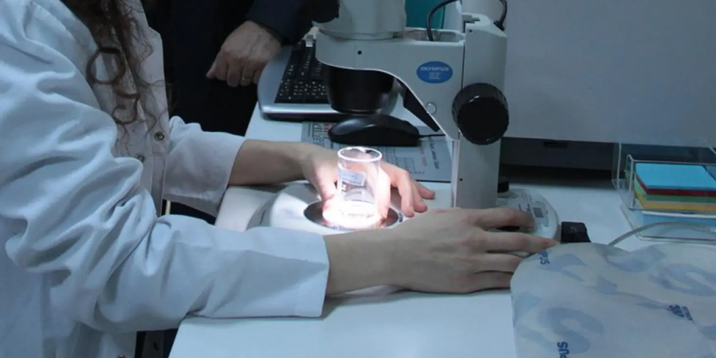 Karabük Üniversitesi'nde kolon kanseri tespitinde yapay zeka devrimi