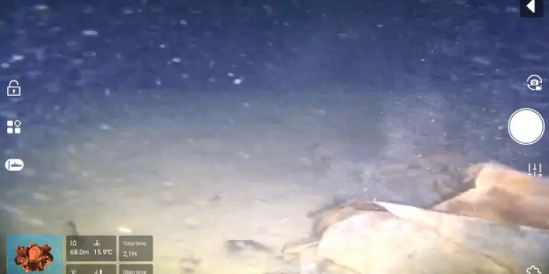 THY Uçak Kazasının Sırrı Ortaya Çıktı